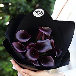 Букет цветов для сестры  из 11 темно-фиолетовых калл