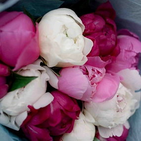 Букет из 11 пионов микс Standart Plus в голубой пленке