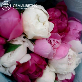 Букет из 11 пионов микс Standart Plus в голубой пленке