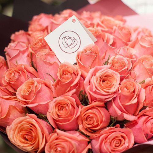 35 розовых роз (Кения) 40 см Premium