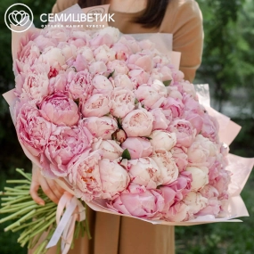 Букет из 101 розового пиона Premium в розовой пленке