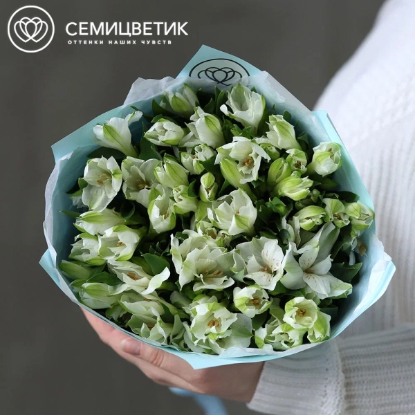 Букет из 15 белых альстромерий
