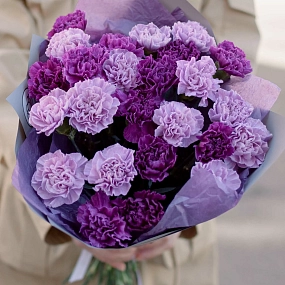 Монобукет  из 25 сиреневых (лунных) и фиолетовых гвоздик в голубой пленке