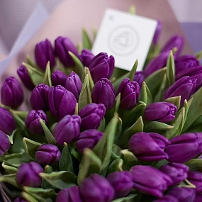 Букет из 51 фиолетового тюльпана в сиреневой пленке