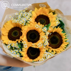 Букет из 5 подсолнухов и 10 матрикарий в упаковке