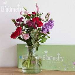 Bloometry Box «Оттенки маджента»