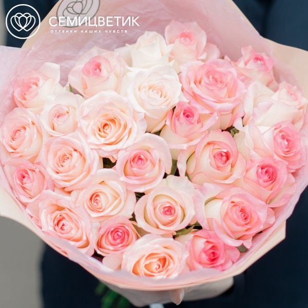 Букет из 25 белых с розовой каймой роз 35-40 см (Россия)
