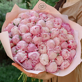 Букет из 51 розового пиона Premium в розовой пленке