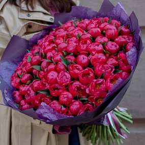 Букет из 101 кораллового пиона Coral Sunset Standart в сиреневой пленке