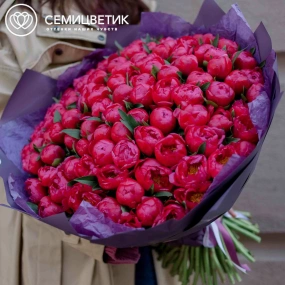 Букет из 101 кораллового пиона Coral Sunset Standart в сиреневой пленке