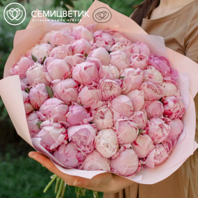 Букет из 51 розового пиона Premium в розовой пленке