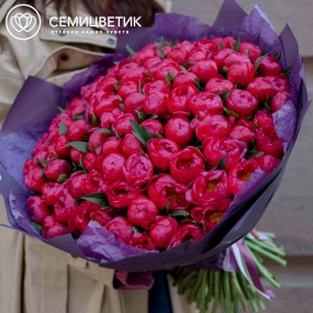 Букет из 101 кораллового пиона Coral Sunset Standart в сиреневой пленке