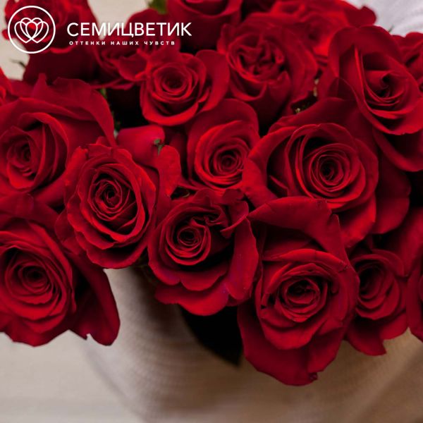 Роза (Эквадор) 70 см Freedom Красная поштучно