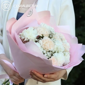 Букет из 15 кремовых и белых гвоздик с гипсофилой в розовой пленке