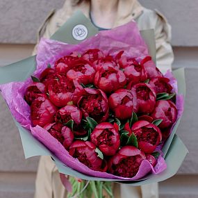 Букет из 25 бордовых пионов Premium в зеленой пленке