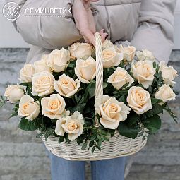 Композиция из 25 кремовых роз (Россия) с фисташкой в корзине