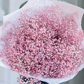 Монобукет  из 15 розовых гипсофил в розовой пленке