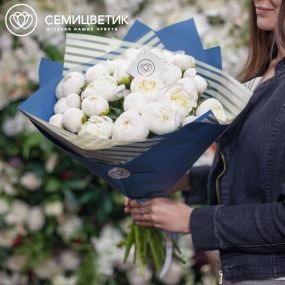 Букет из 25 белых пионов Standart в голубой пленке