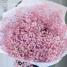 Букет из 15 розовых гипсофил в розовой пленке