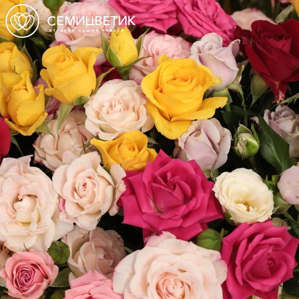 Композиция из 25 кустовых роз микс в сумочке