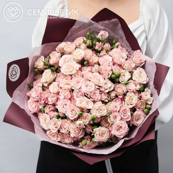Букет из 25 белых с розовой каймой кустовых роз 40 см (Кения) в бордовой пленке