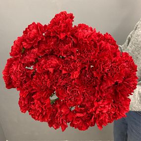 Траурный букет из 30 красных гвоздик