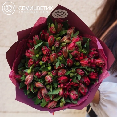 Букет из 15 красных альстромерий в бордовой пленке