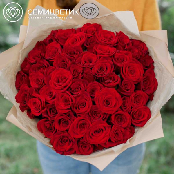 Букет из 51 красная с темной каймой роза 35-40 см (Россия)