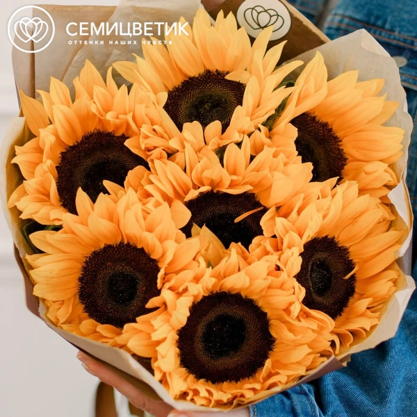 Букет из 7 подсолнухов в упаковке