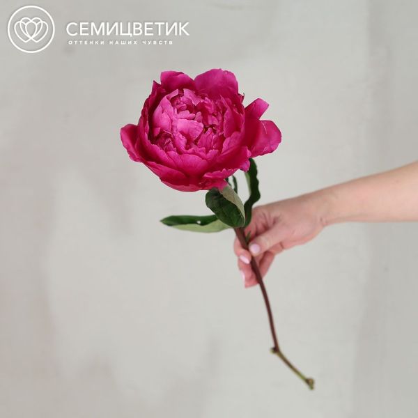 Букет из 9 ярко-розовых пионов Red Sarah Bernhardt Premium