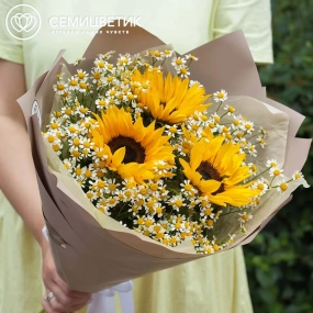 Букет из 3 подсолнухов и матрикарий в кремовой пленке