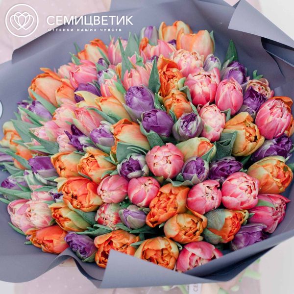 Букет из 101 фиолетового розового и оранжевого пионовидного тюльпана в сиреневой пленке