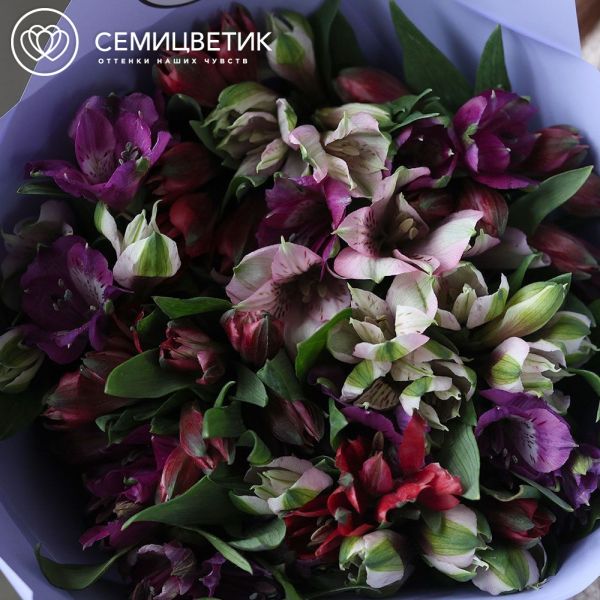 Букет из 15 альстромерий яркий микс