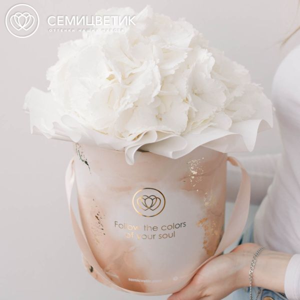Букет в бежевой шляпной коробке Amour Mini из 3 белых гортензий