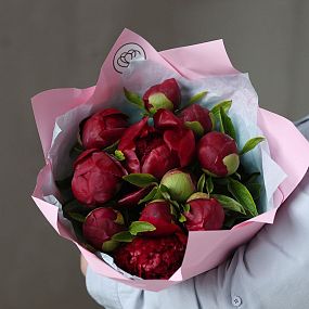 Букет из 11 бордовых пионов Premium