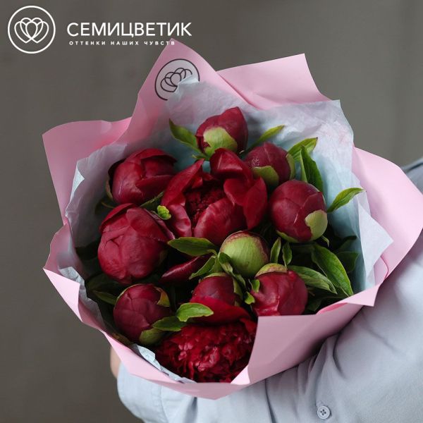 Букет из 11 бордовых пионов Premium