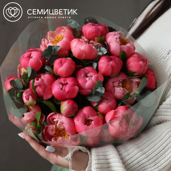 Букет из 25 пионов Coral Sunset Premium с эвкалиптом в полупрозрачной упаковке