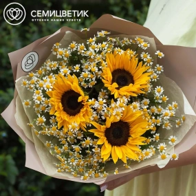 Букет из 3 подсолнухов и матрикарий в кремовой пленке