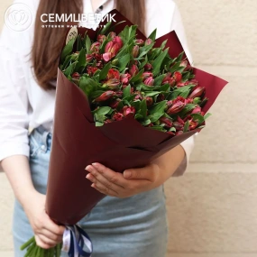 Букет из 23 красных альстромерий в бордовой пленке