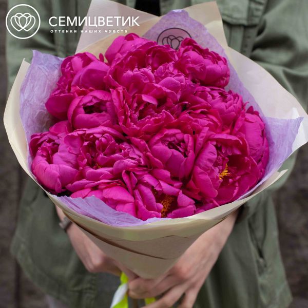 Букет из 15 малиновых пионов Standart Plus