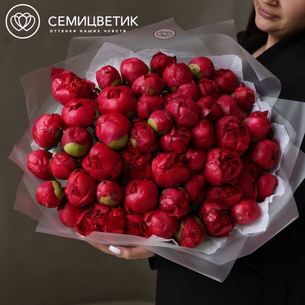 Букет из 51 ярко-розового пиона Command Performance Premium
