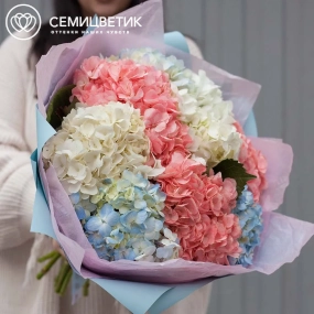 Букет из 9 гортензий нежный микс в голубой пленке