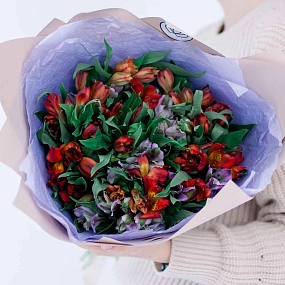 Монобукет  из 25 альстромерий в красных и фиолетовых тонах в розовой пленке