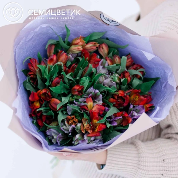 Букет из 25 альстромерий в красных и фиолетовых тонах в розовой пленке