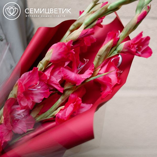 Букет из 5 белых и розовых гладиолусов