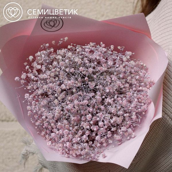Букет из 11 розовых гипсофил в розовой пленке