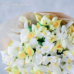 Букет из 25 желтых и белых ирисов