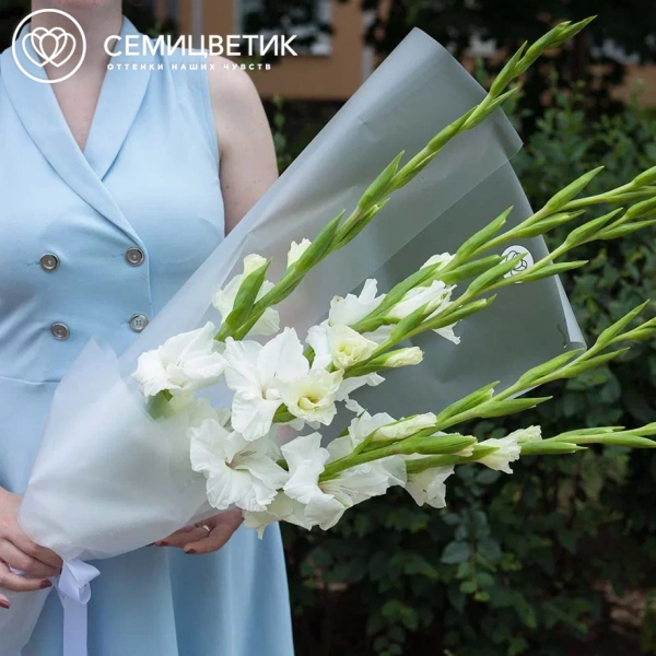 Букет из 5 белых гладиолусов