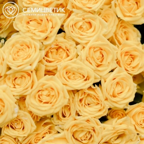 Букет из 25 желтых кустовых роз 40 см (Кения)