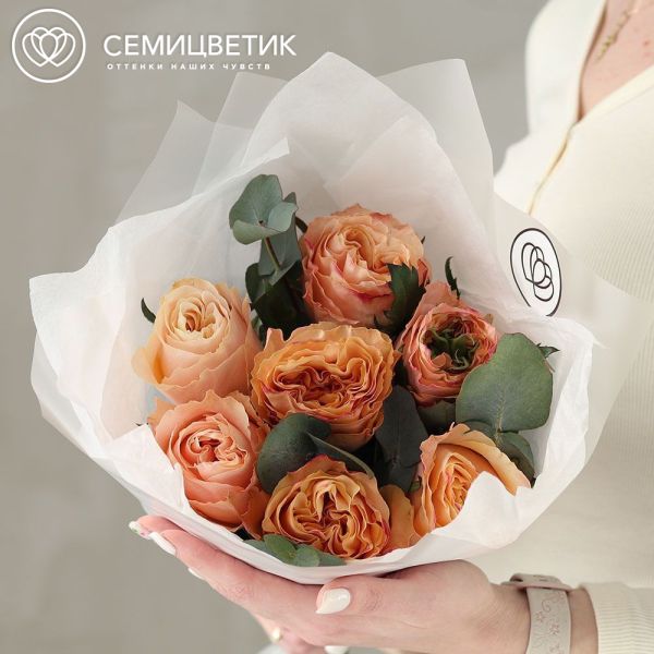 Букет из 7 пионовидных персиковых роз Princess Crown (Эквадор) 50 см с эвкалиптом